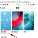 苹果手机抖音怎样设置动态壁纸
