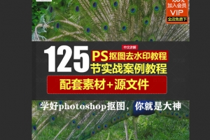 125个ps抠图教程视频合集 赠送photoshop抠图插件与常用插件