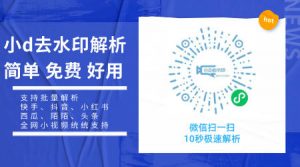 支持全网小视频批量解析的小d去水印解析