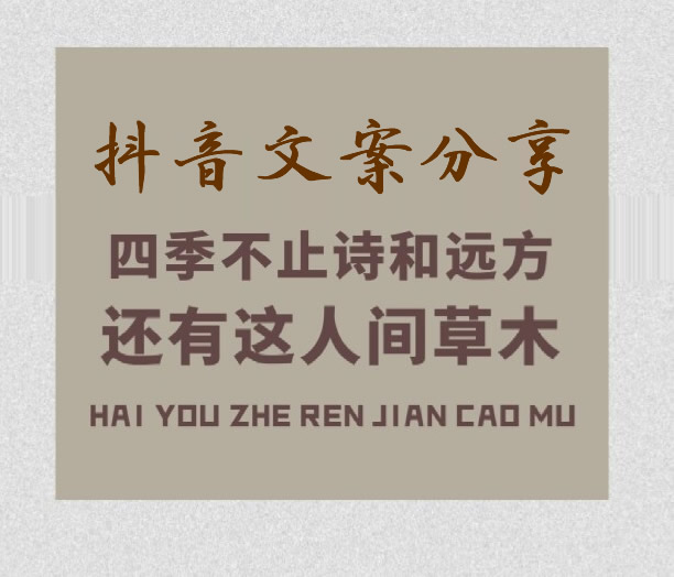 抖音最火文案：28段情感类吸引人的句子